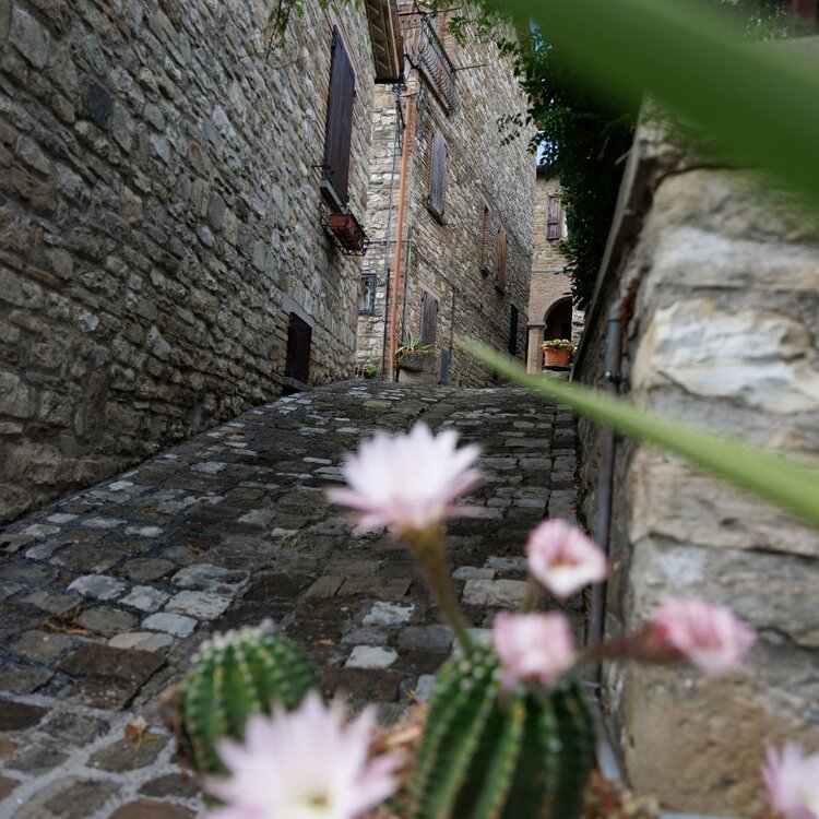 Strada con case in pietra a Frontino  | © Gianluca Maroccini