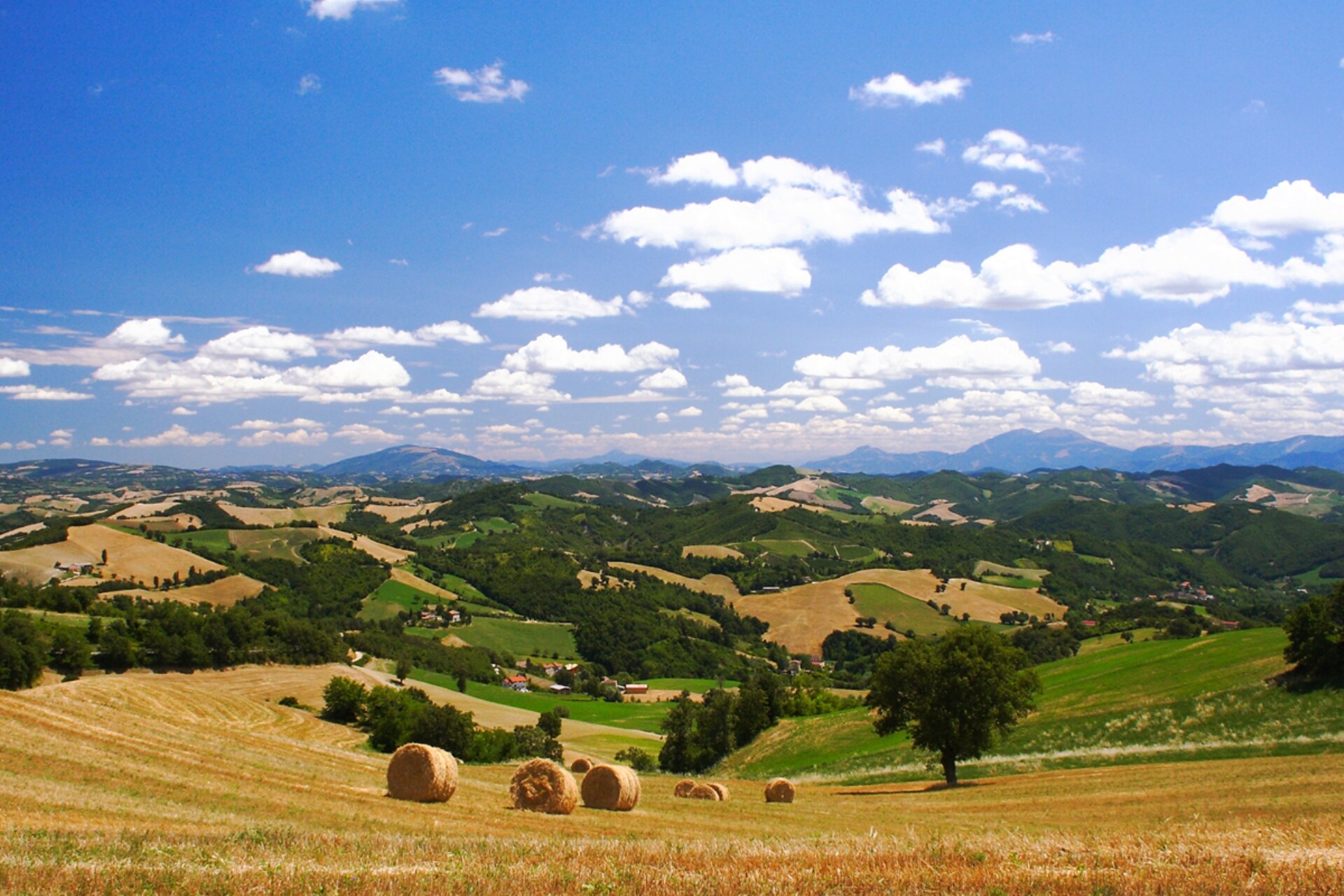 Borgo di Macerata Feltria in provincia di Pesaro Urbino, Marche | © Gianluca Maroccini