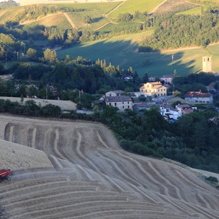 Borgo di Macerata Feltria in provincia di Pesaro Urbino, Marche | © Gianluca Maroccini